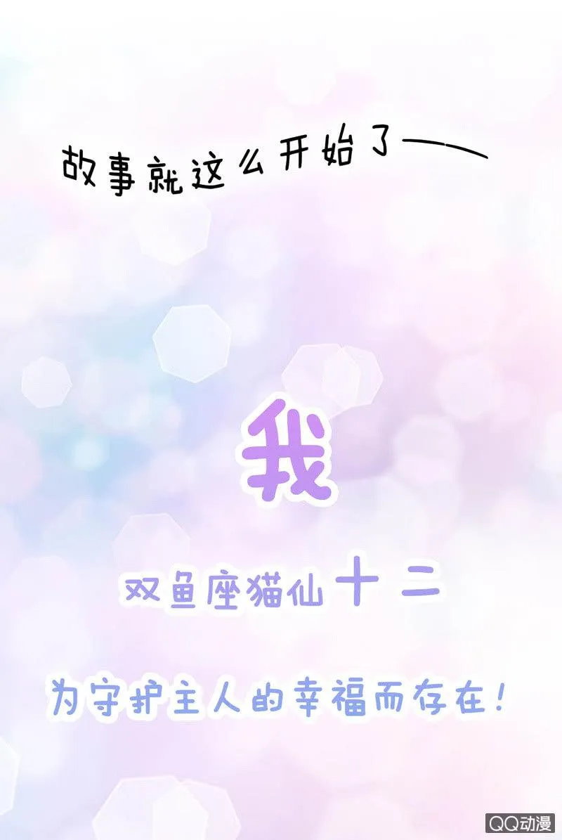 预告 第12页