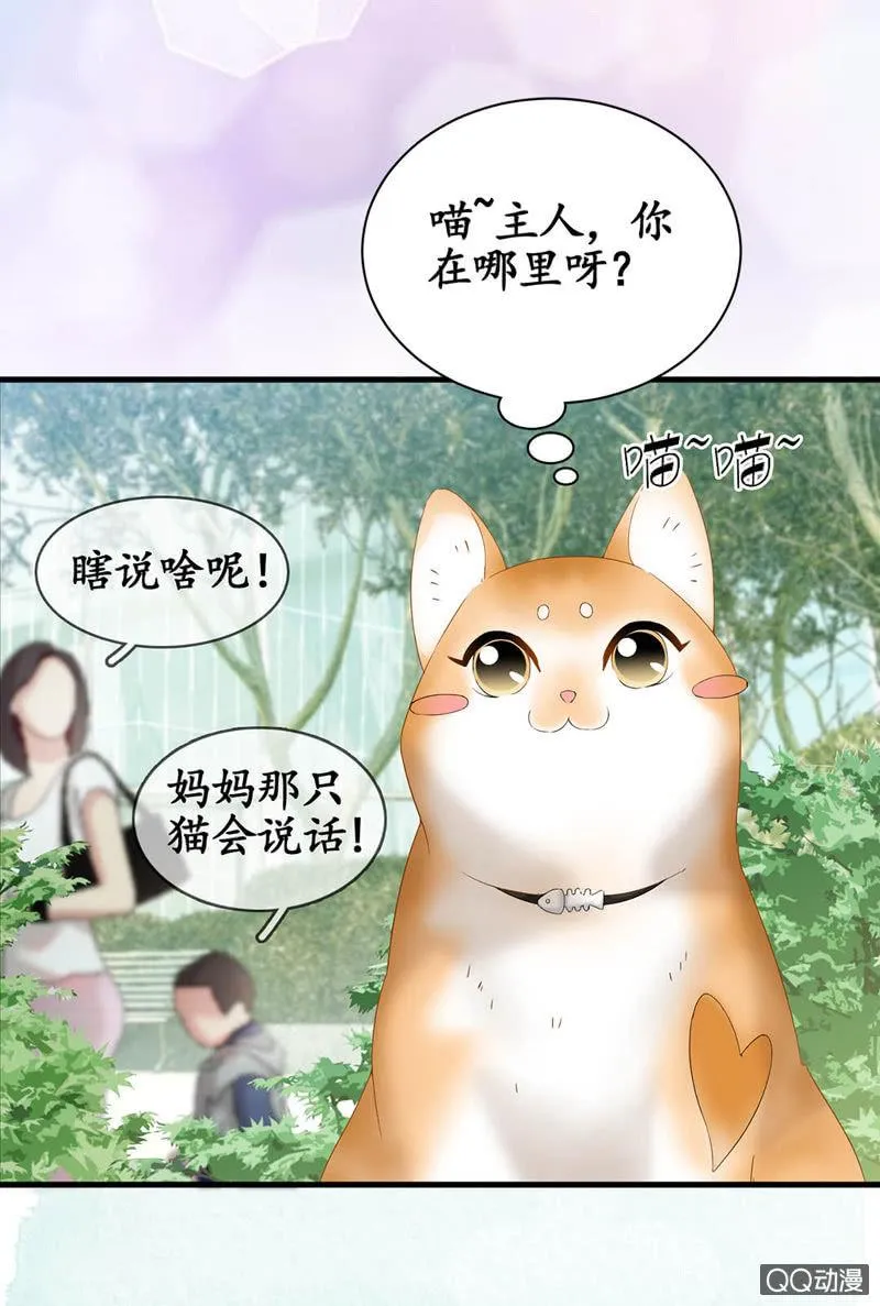 预告 第13页