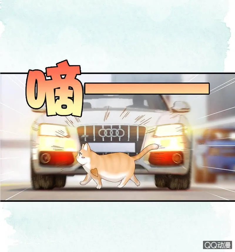预告 第14页