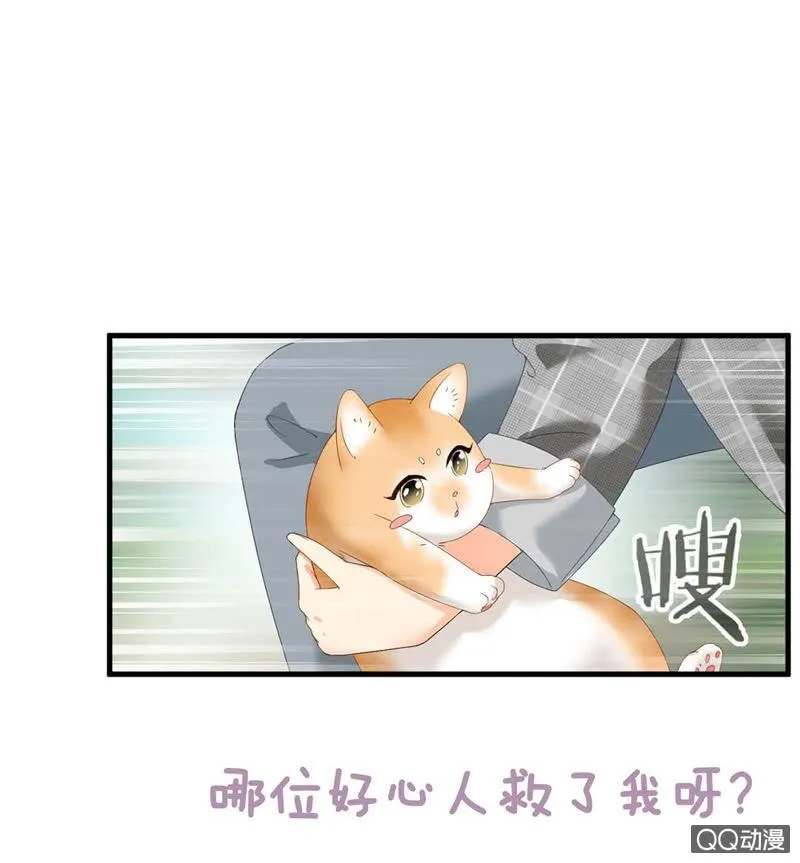 预告 第16页