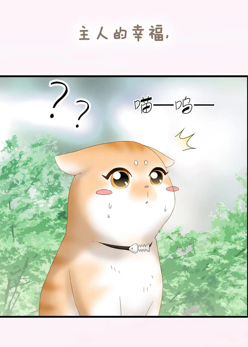 预告 第40页