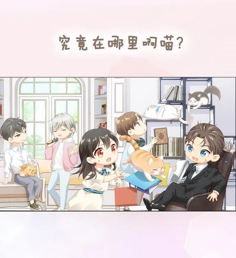 预告 第41页