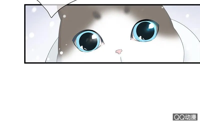 在哪里见过 第11页