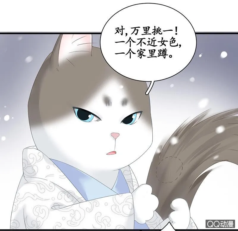 在哪里见过 第24页