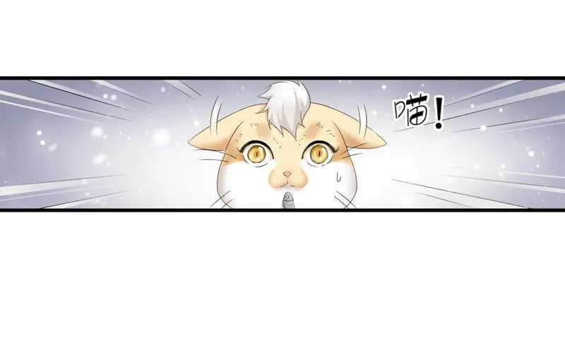 在哪里见过 第29页