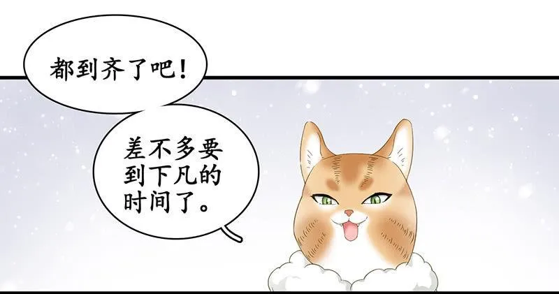 在哪里见过 第33页