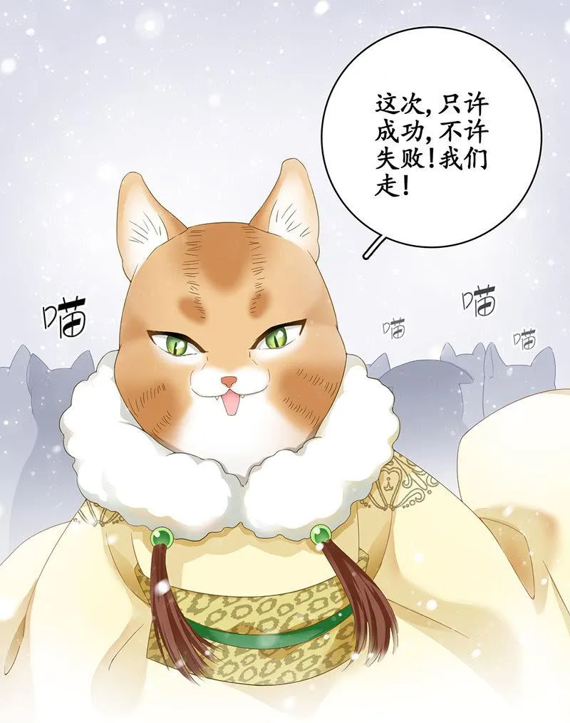 在哪里见过 第34页
