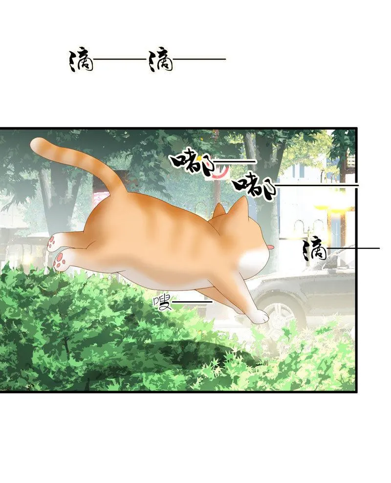 主人在哪里啊？ 第15页