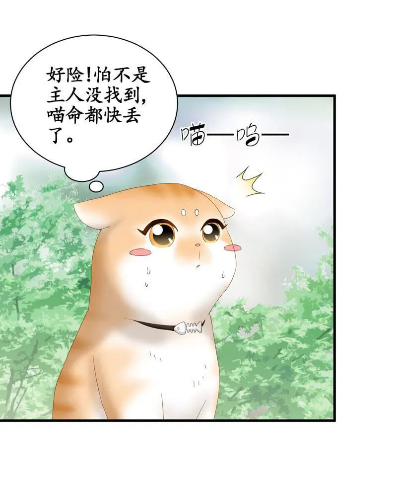 主人在哪里啊？ 第17页