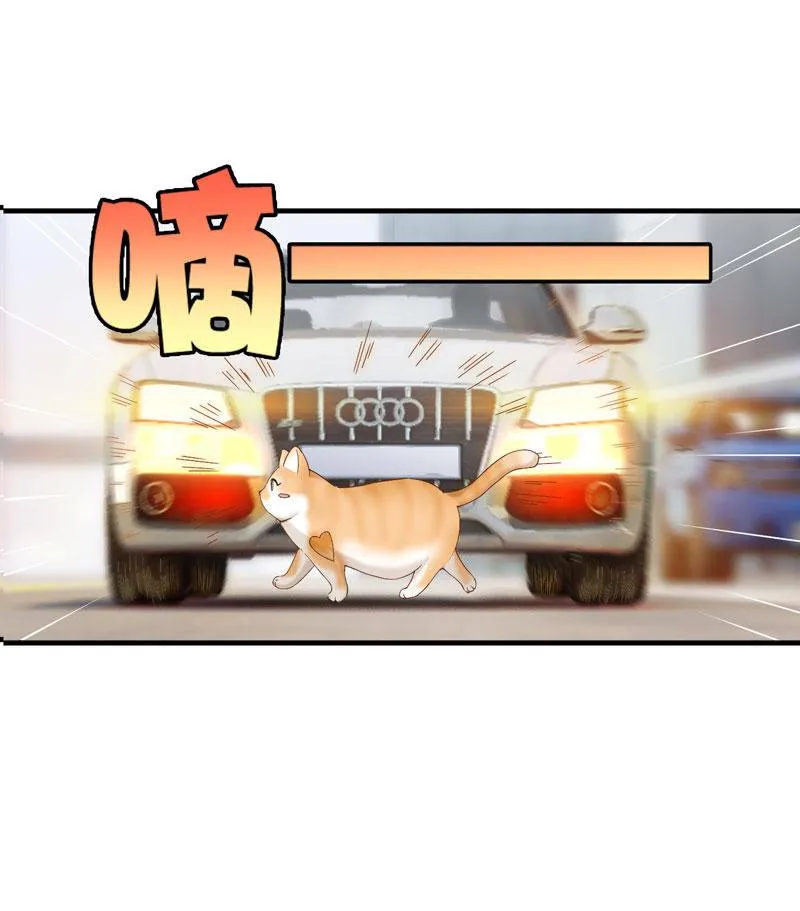 主人在哪里啊？ 第20页