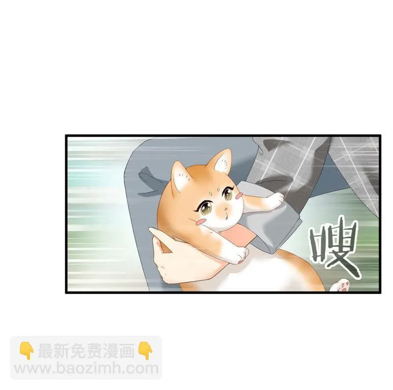 主人在哪里啊？ 第23页