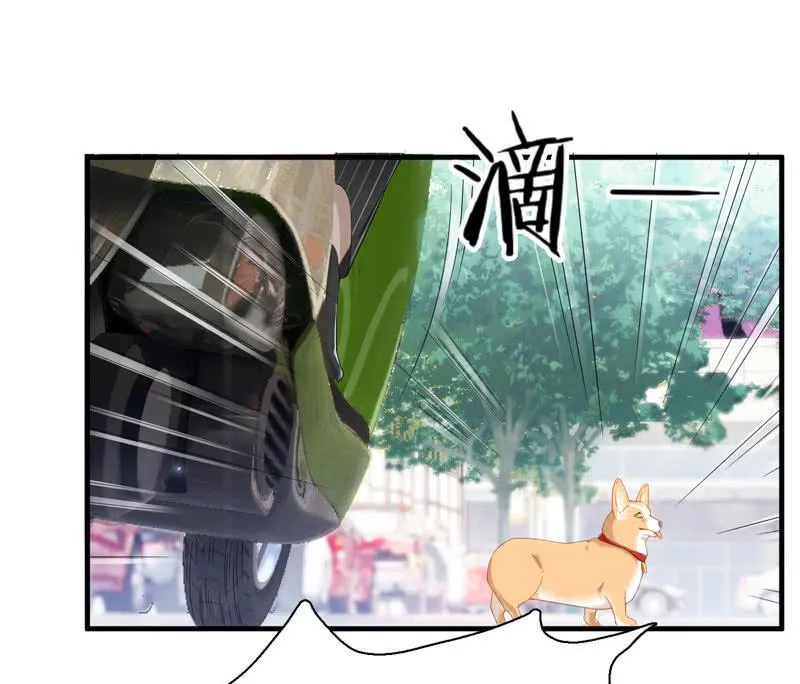 这丫头是个疯子吗 第15页