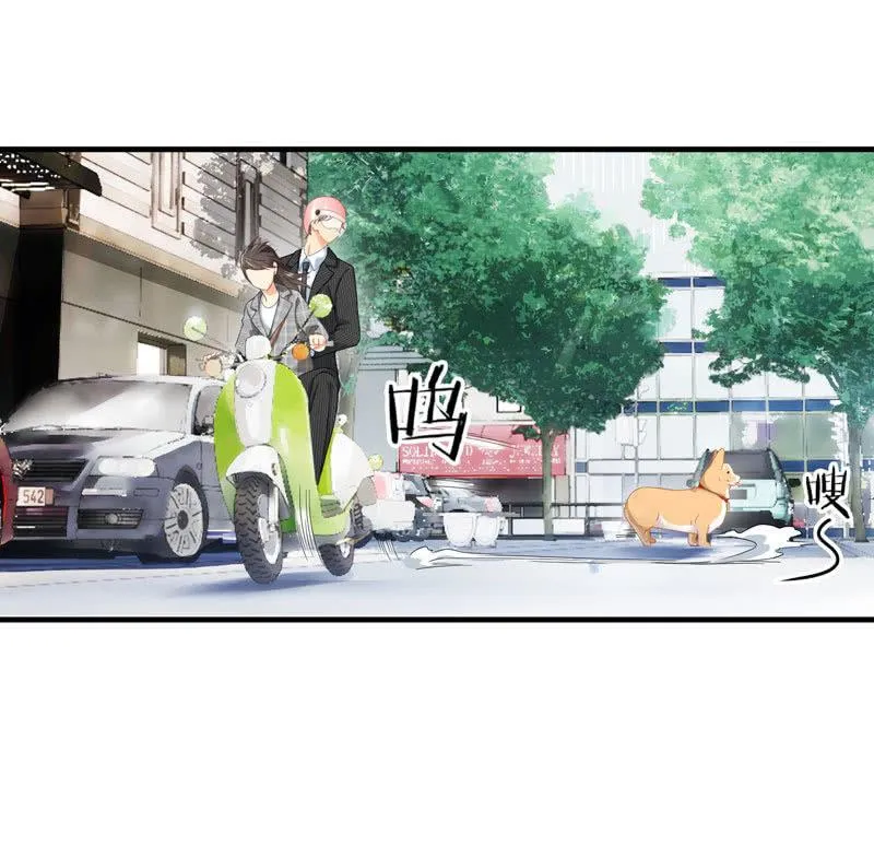 这丫头是个疯子吗 第17页