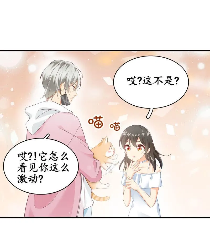 穷追不舍的家伙 第17页