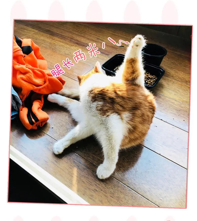 You Jump I Jump 第55页