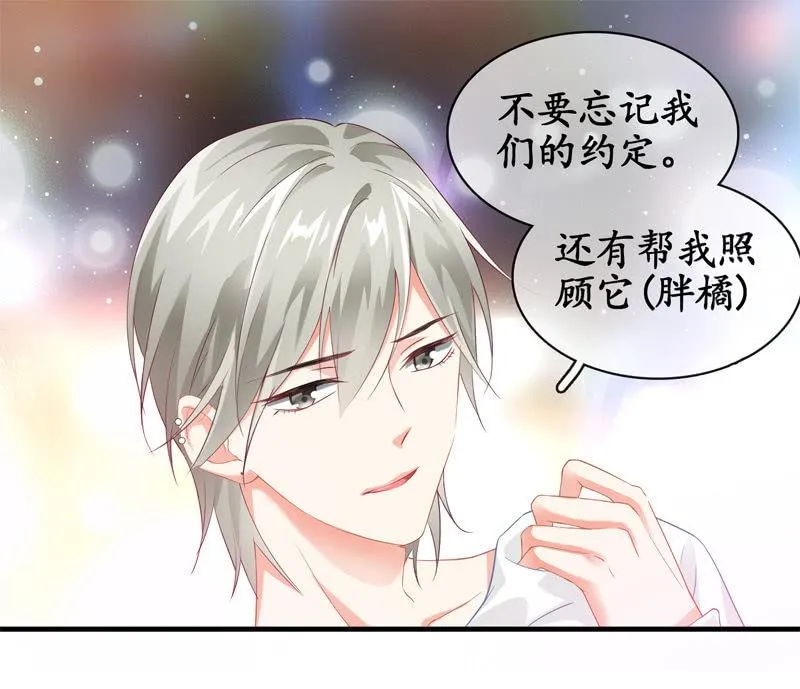 摩天轮下的约定 第14页