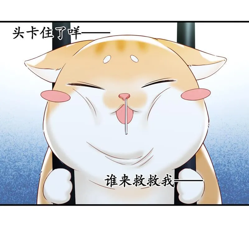 抢劫？！ 第20页