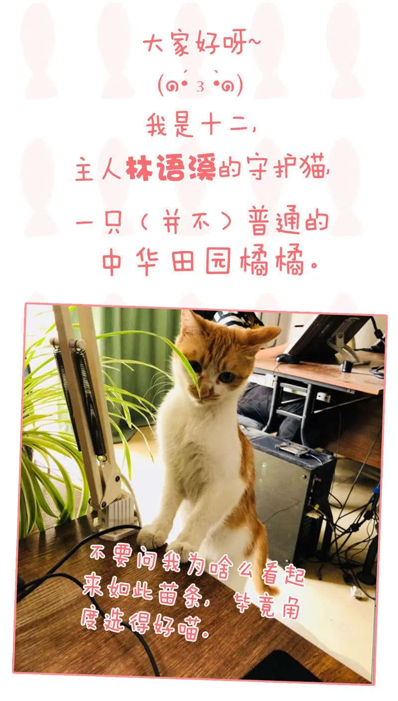 抢劫？！ 第54页