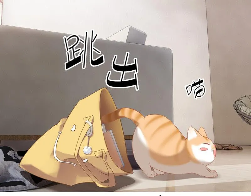 腾总家的妹子 第26页