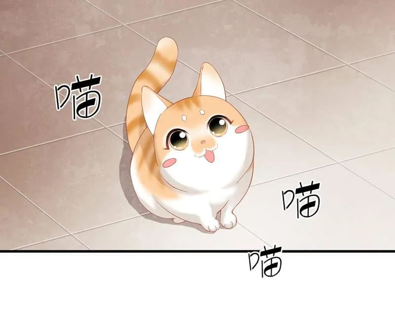 腾总家的妹子 第29页