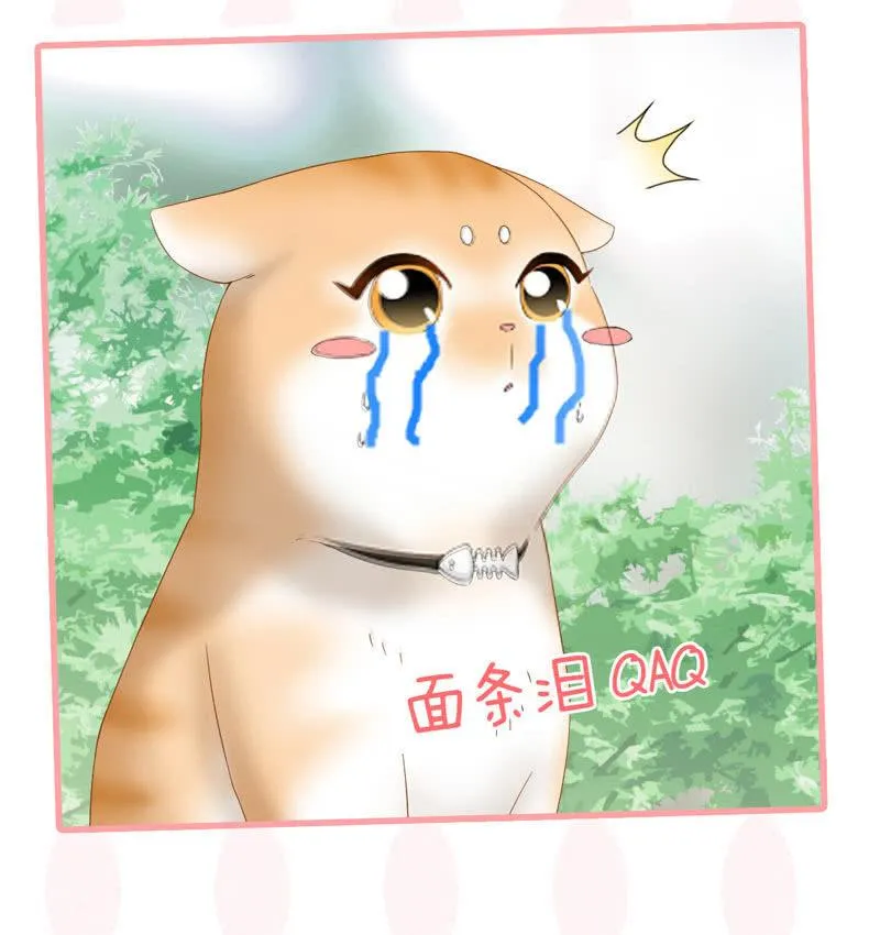 腾总家的妹子 第46页