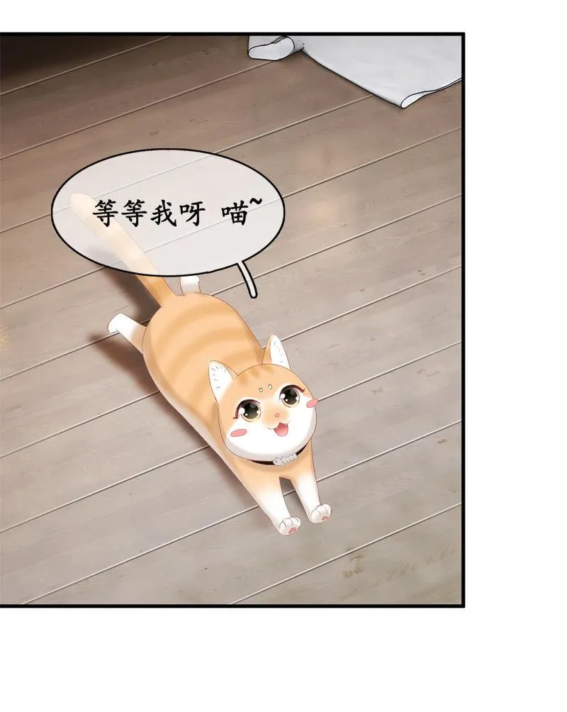 喵咪同伴出现啦~ 第16页