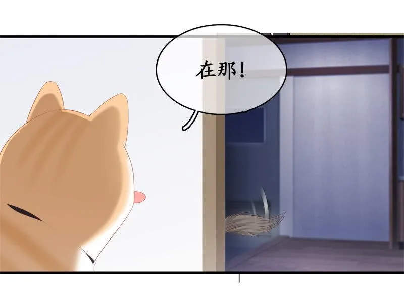 喵咪同伴出现啦~ 第17页