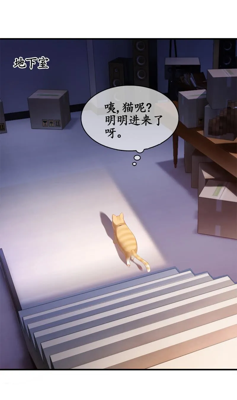 喵咪同伴出现啦~ 第19页