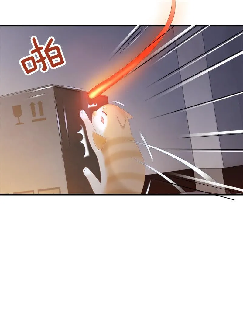 喵咪同伴出现啦~ 第24页