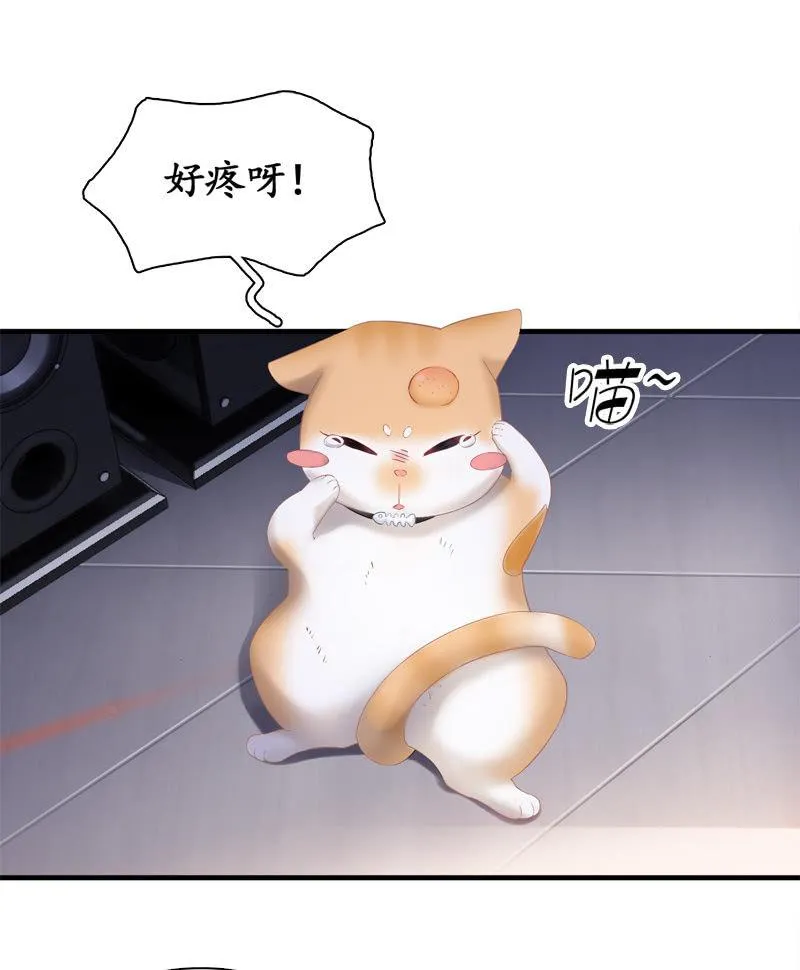 喵咪同伴出现啦~ 第25页