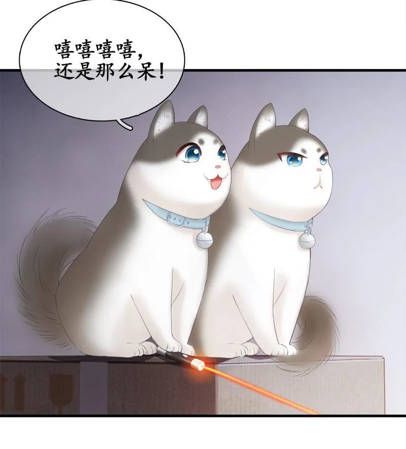 喵咪同伴出现啦~ 第26页