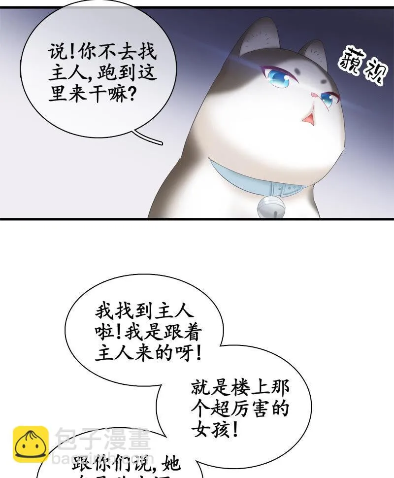 喵咪同伴出现啦~ 第28页