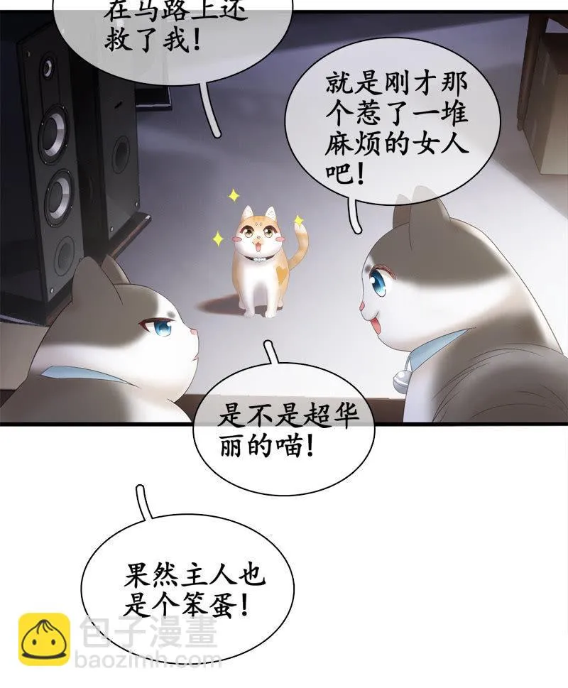 喵咪同伴出现啦~ 第29页