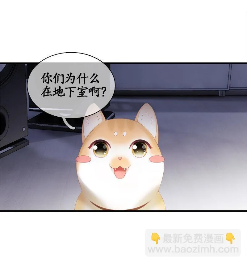 喵咪同伴出现啦~ 第30页