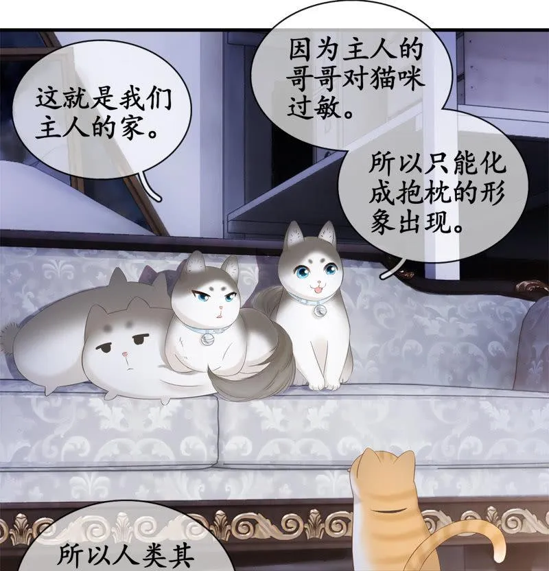 喵咪同伴出现啦~ 第32页
