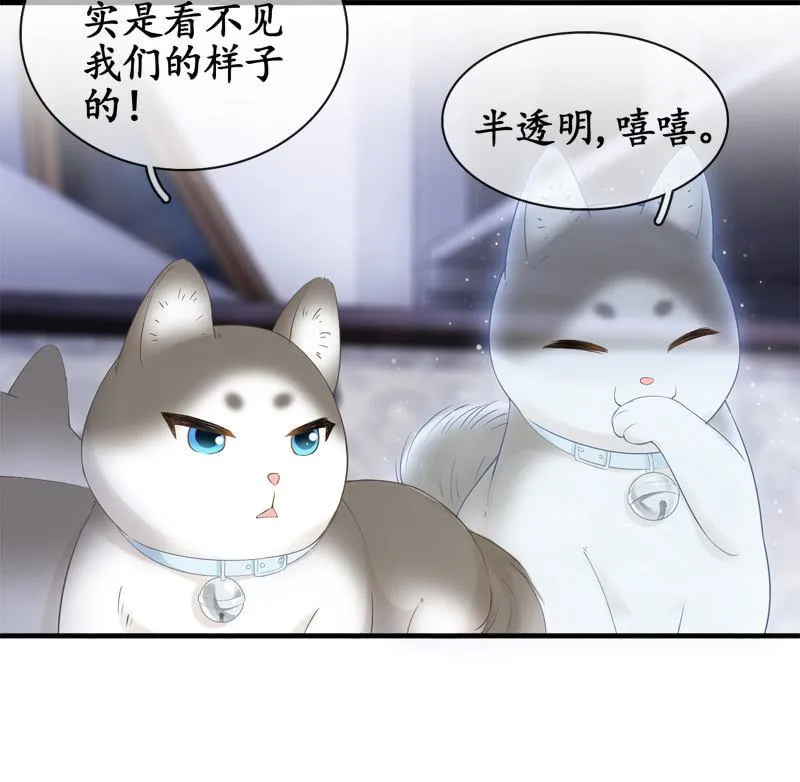 喵咪同伴出现啦~ 第33页