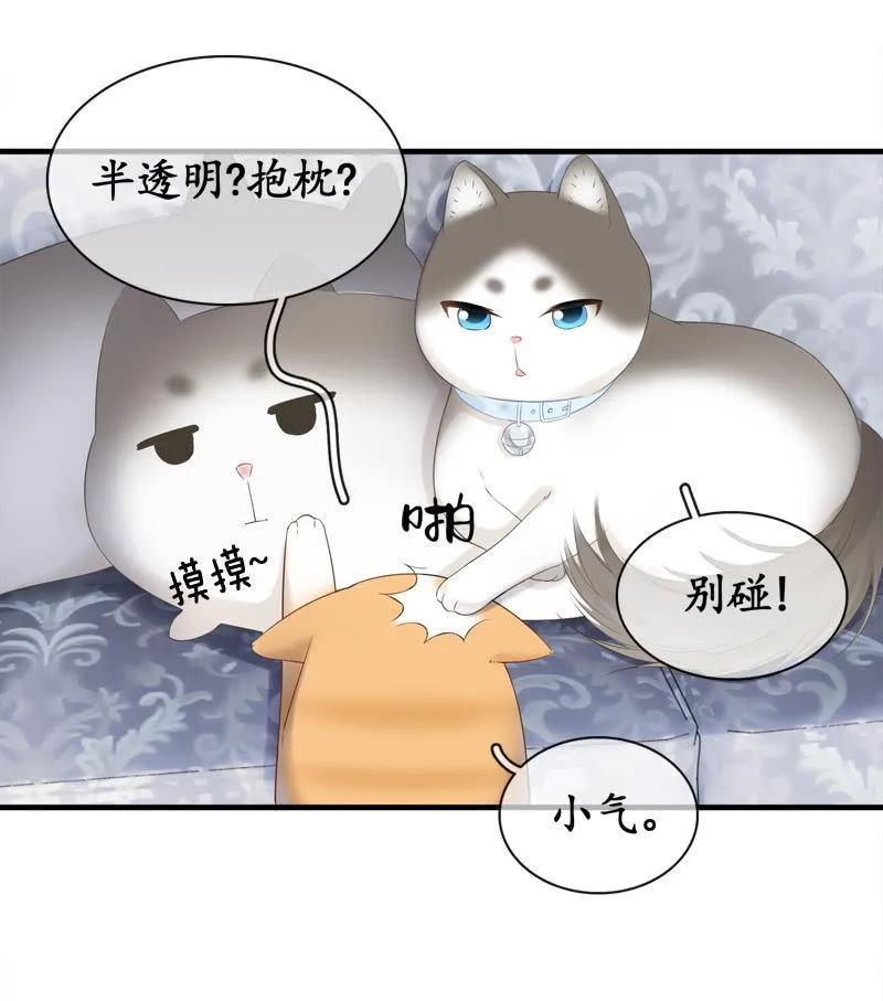 喵咪同伴出现啦~ 第34页