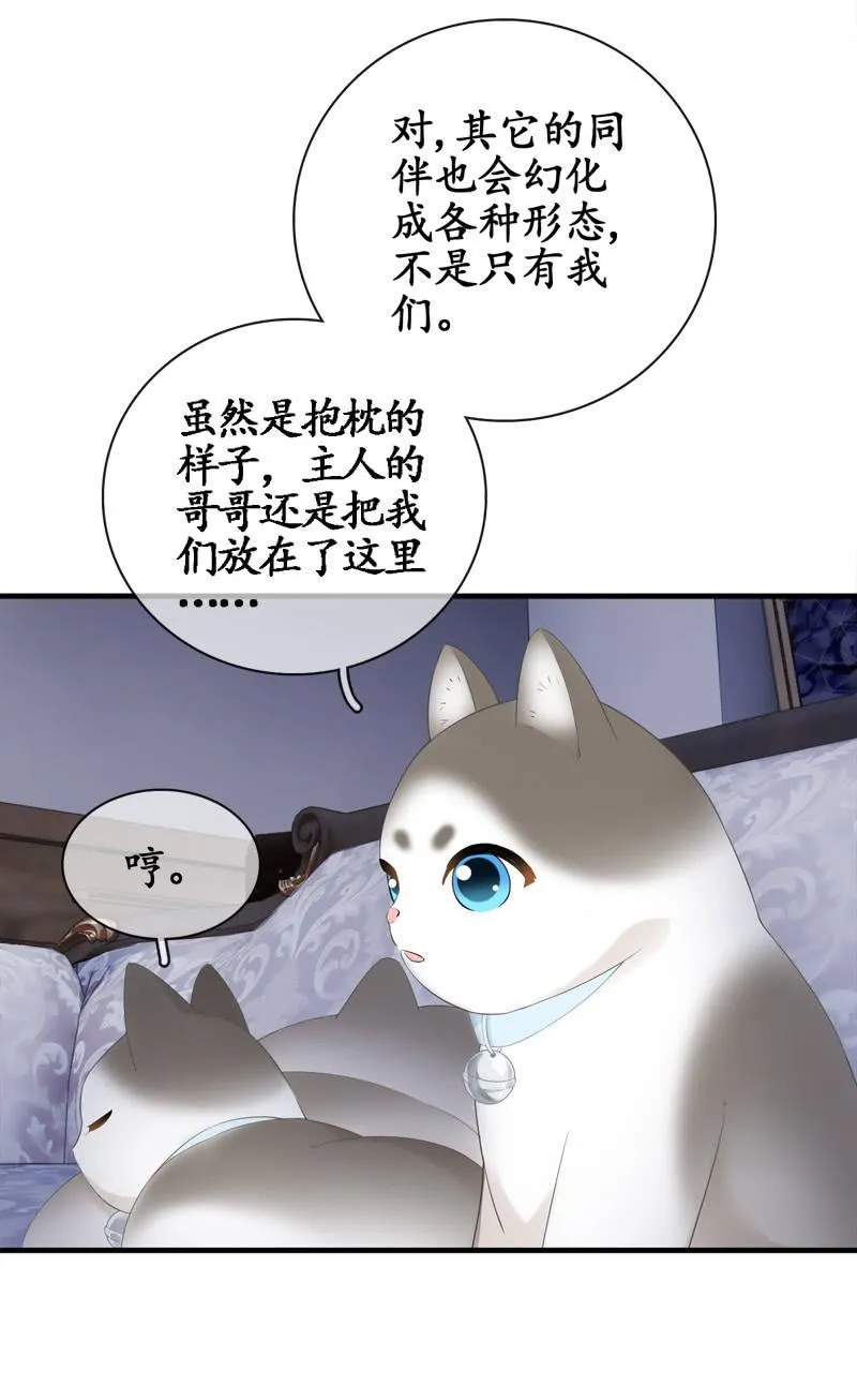 喵咪同伴出现啦~ 第35页