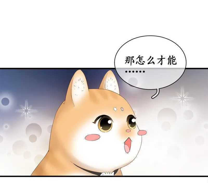 喵咪同伴出现啦~ 第36页