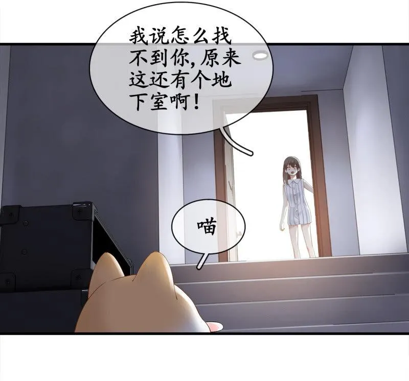 喵咪同伴出现啦~ 第37页