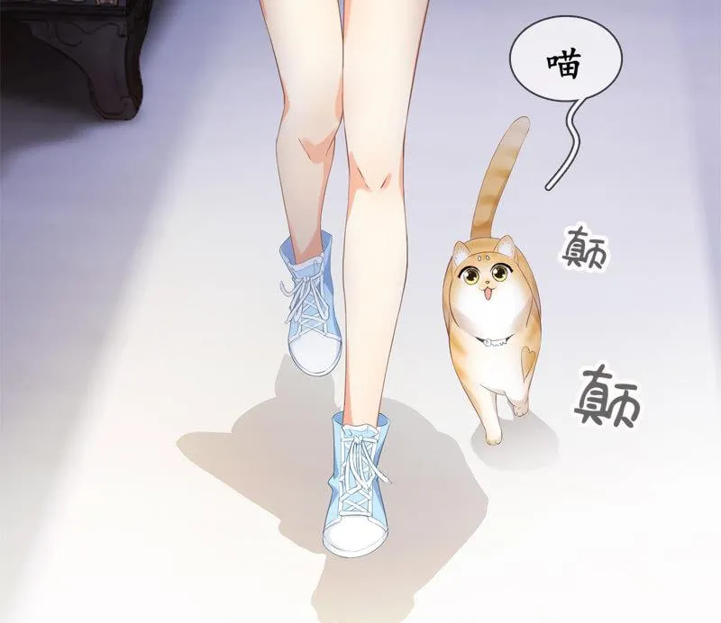 喵咪同伴出现啦~ 第42页