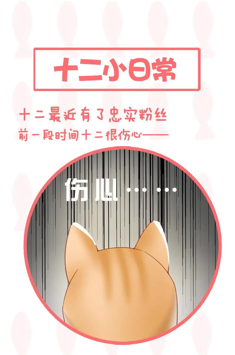 喵咪同伴出现啦~ 第46页