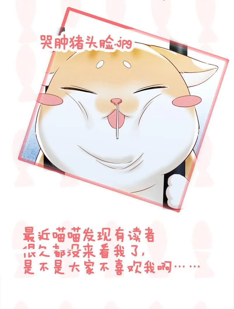 喵咪同伴出现啦~ 第48页