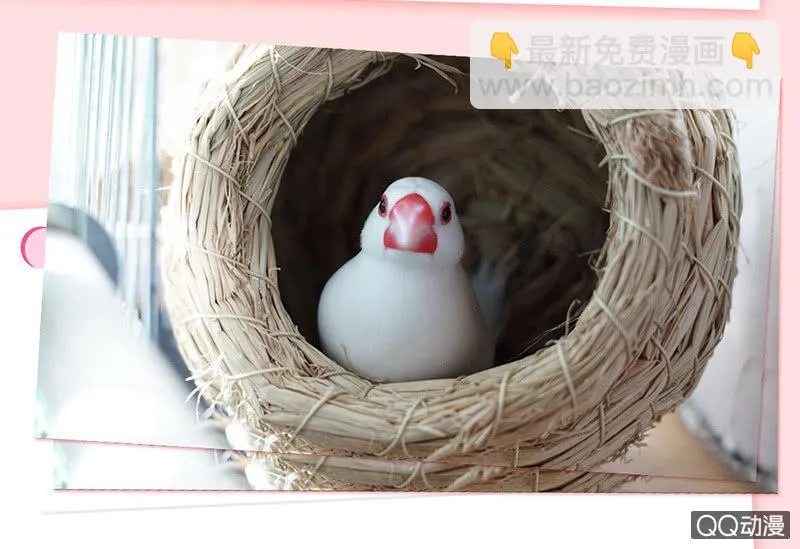古怪的两兄妹 第73页
