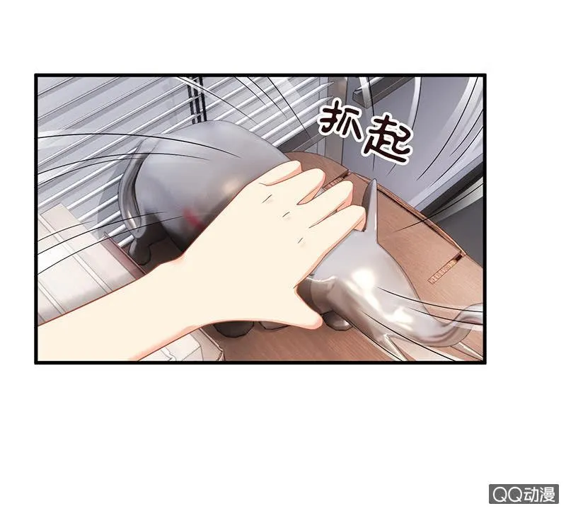 首席设计师你在哪？！ 第79页