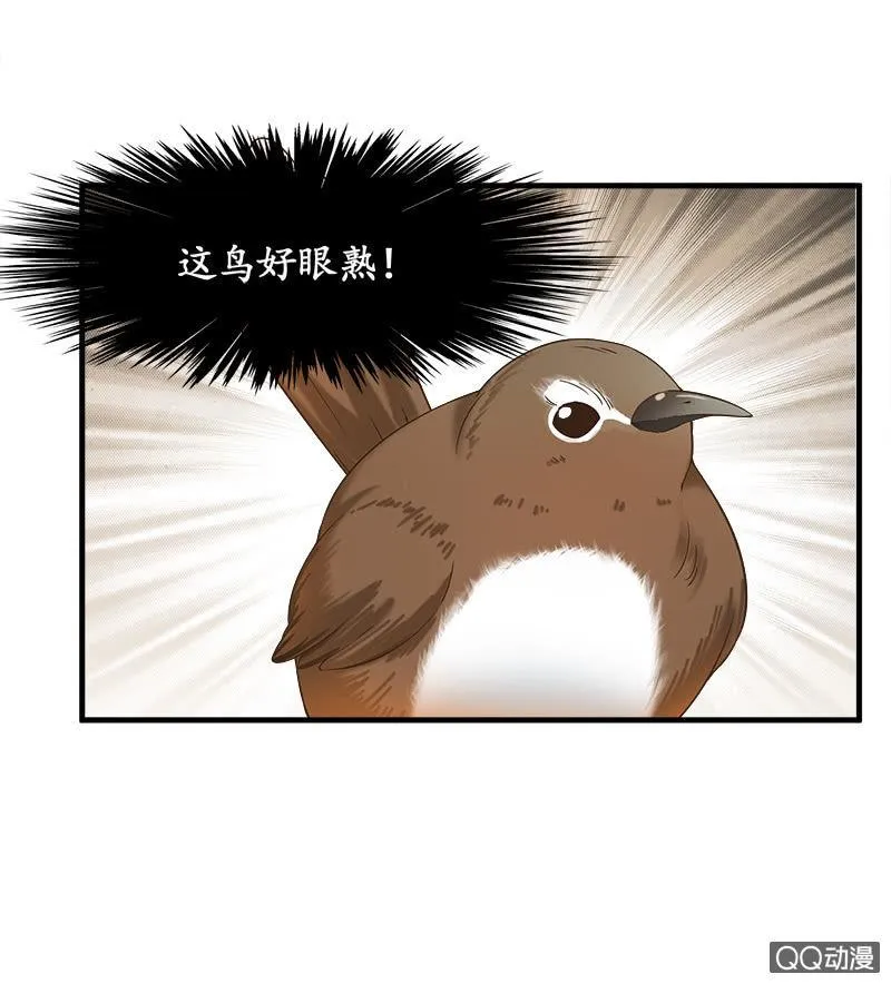 你知道她对我做个什么吗！ 第44页