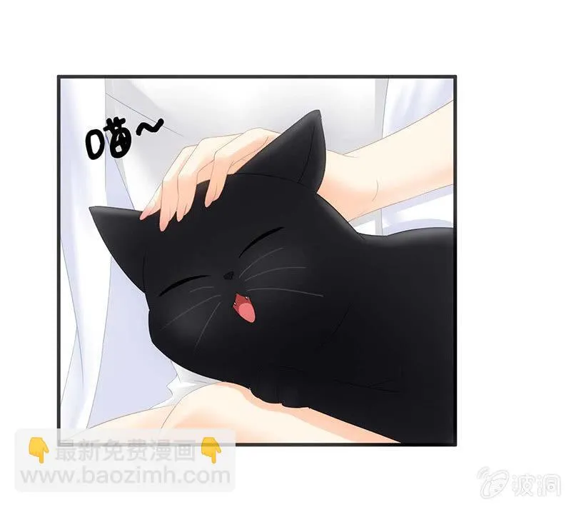 猫咪神助攻来也！！！ 第5页