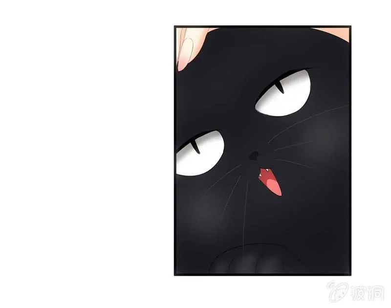 猫咪神助攻来也！！！ 第6页