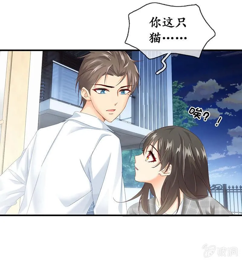 猫咪神助攻来也！！！ 第16页
