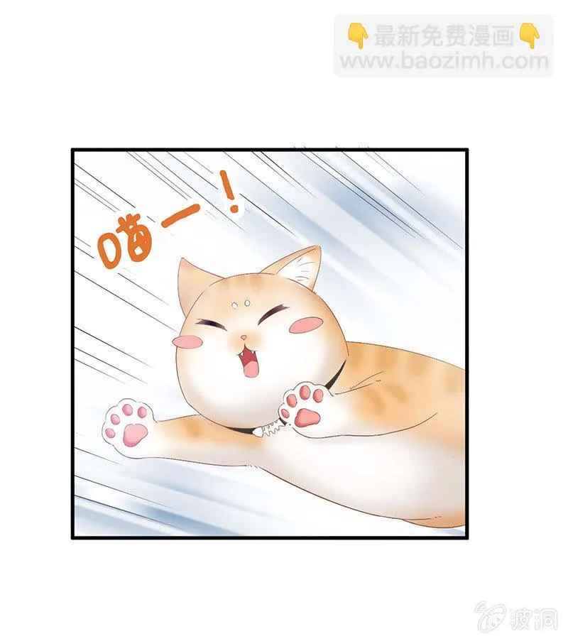 猫咪神助攻来也！！！ 第17页